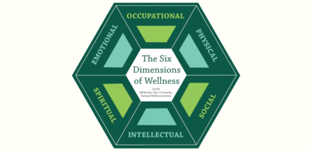 six dimensions wellness
