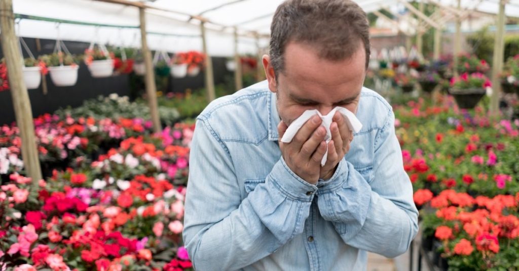 beat hay fever in neath