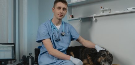 how much does vet prescription cost in Neath