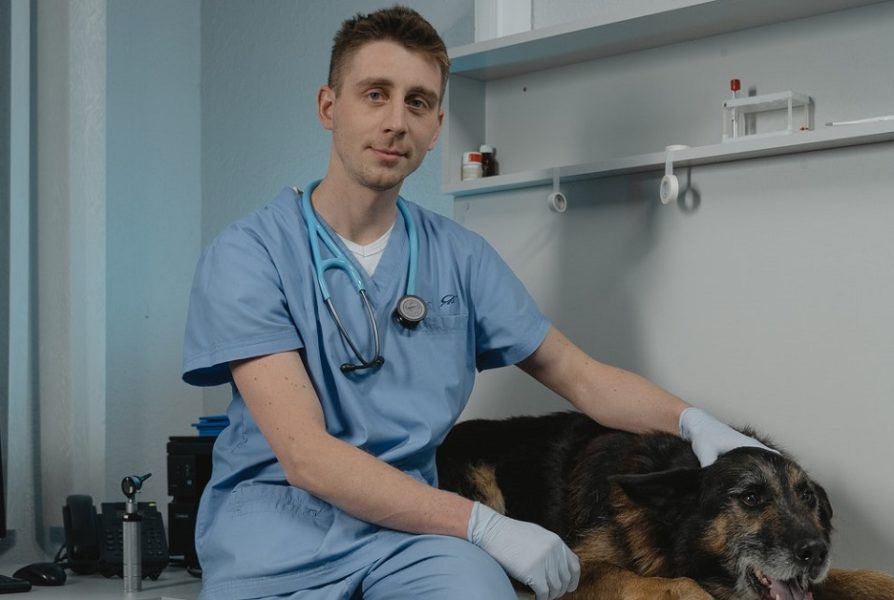 how much does vet prescription cost in Neath